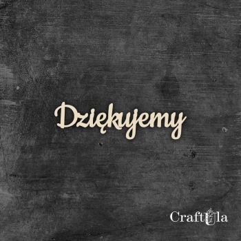 Dziękujemy - napisy - 284