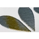 PUDER DO EMBOSSINGU - WOW! - Polished Silver