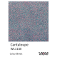 PUDER DO EMBOSSINGU - WOW! - CANTALOUPE