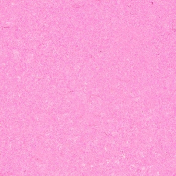 PUDER DO EMBOSSINGU - WOW! - FLUORESCENT PINK